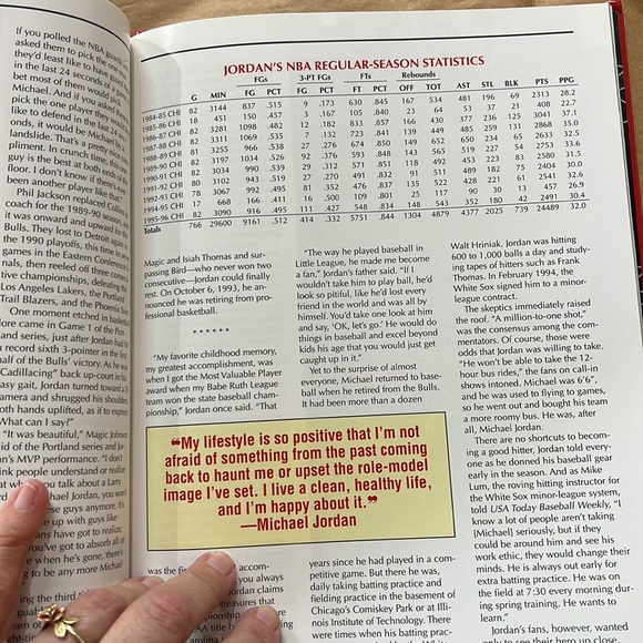Chicago Bulls RAGING BULLS! NBA CHAMPS RECORD 72 Victoriies - Picture 6 of 10